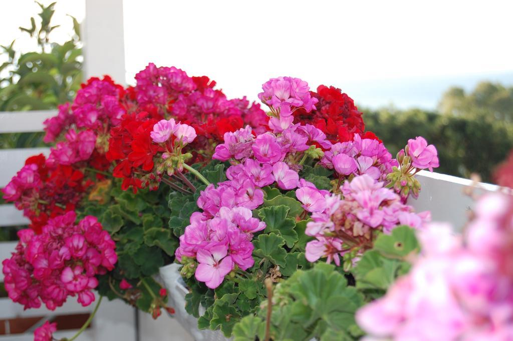 B&B H224 Reggio di Calabria Buitenkant foto