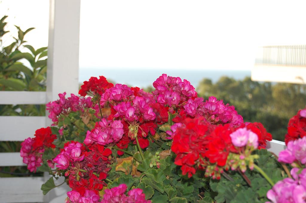 B&B H224 Reggio di Calabria Buitenkant foto